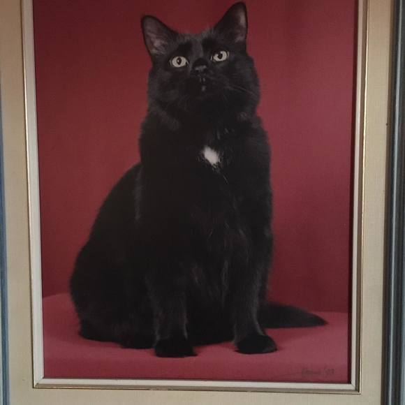 Meet your Posher, Claudette - Picture 1 of 1